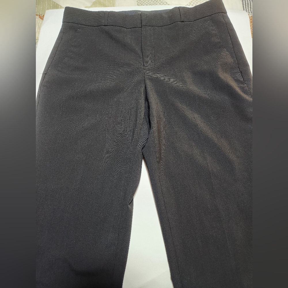 Lands End Dark Brown Straight-Leg Dress Pants (Size 12P)
